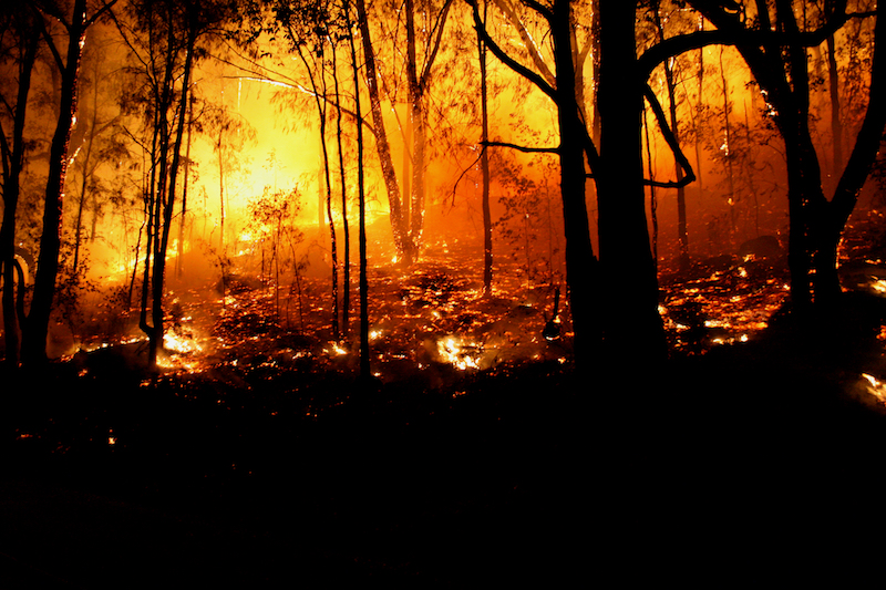 Bushfire Risk