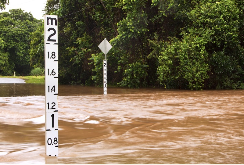 Flood Insurance Explained, Does Flood Insurance Cover Landscaping